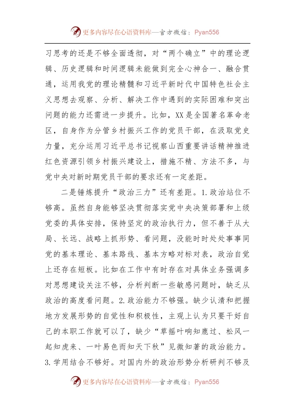 2022年度民主生活会副市长对照检查材料.docx_第2页