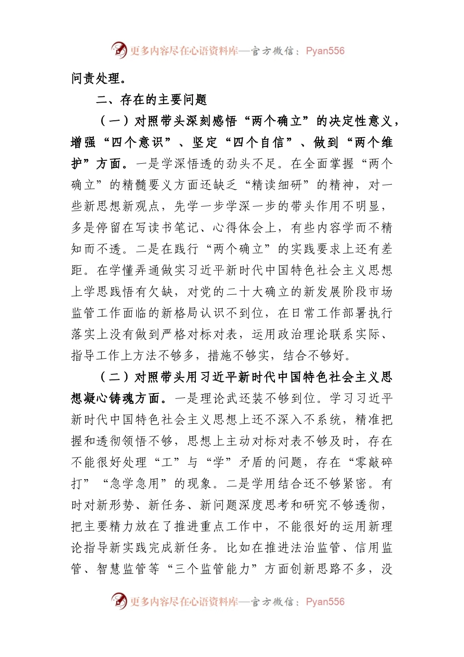 2022年度市场监管局领导干部民主生活会个人发言提纲.docx_第2页