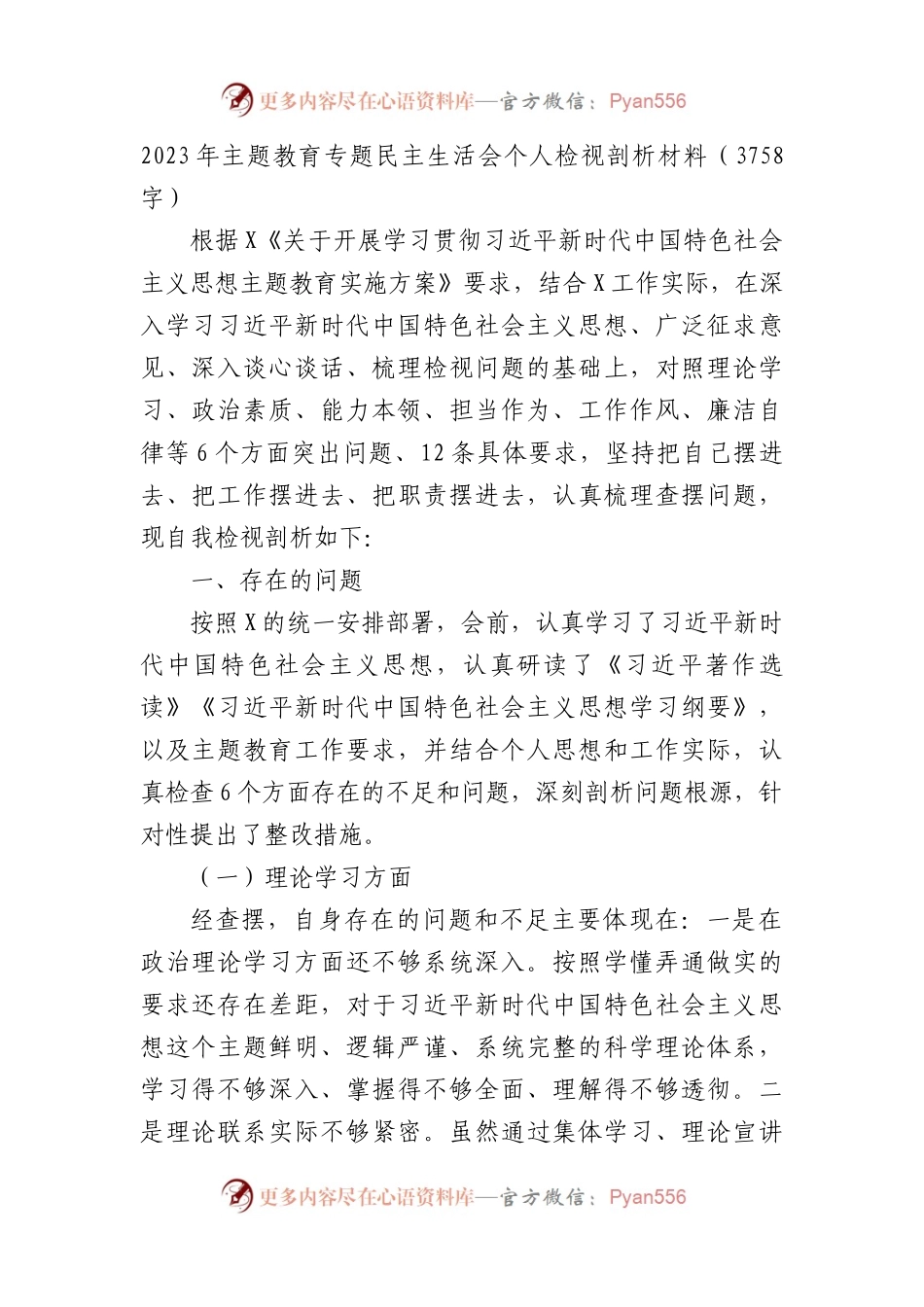2023年主题教育专题民主生活会个人检视剖析材料.docx_第1页