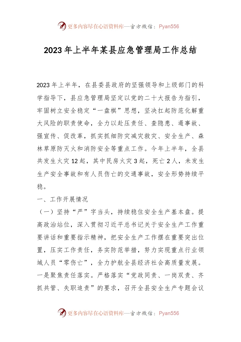 2023年上半年某县应急管理局工作总结.docx_第1页