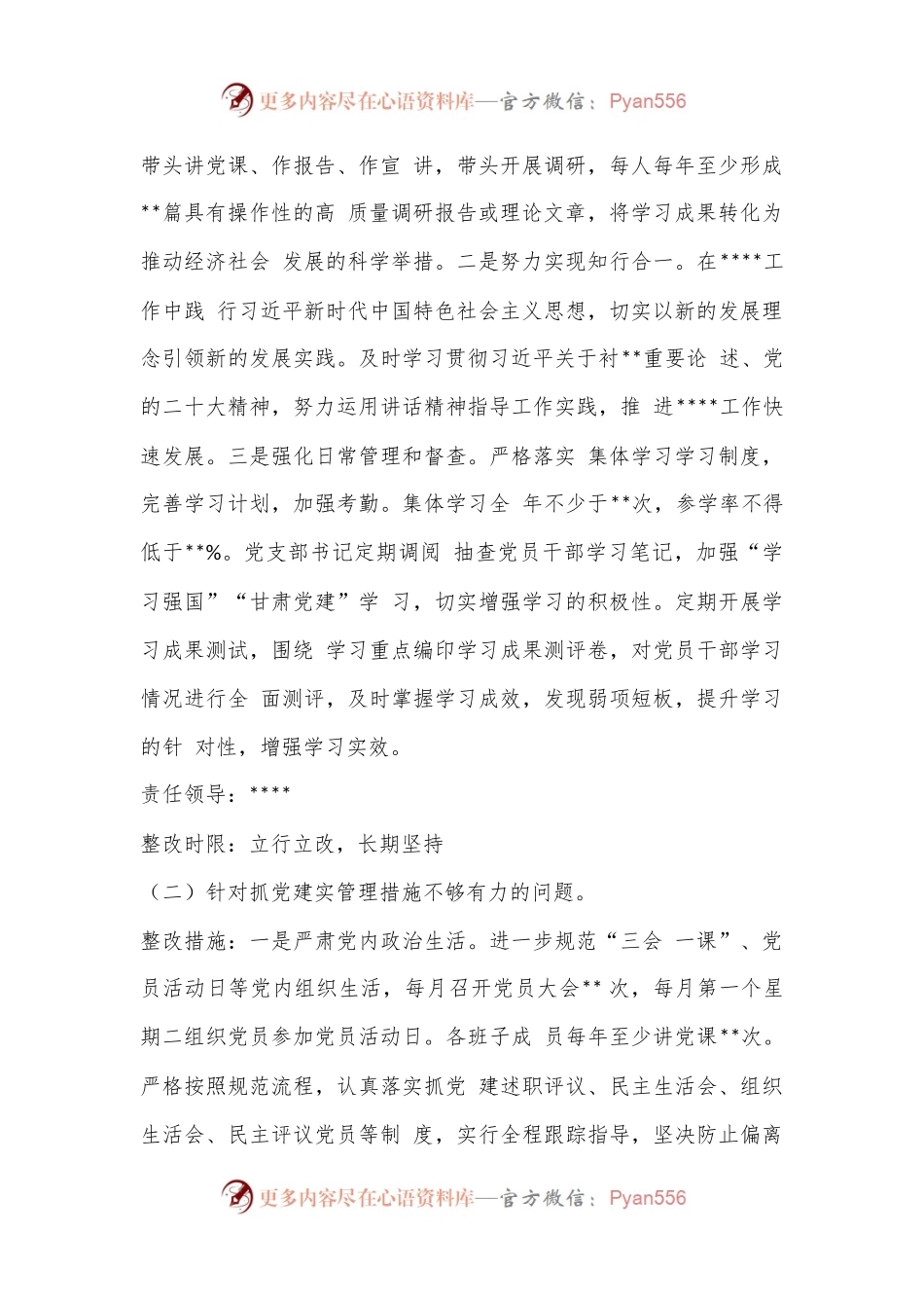 2022年度XX党支部抓基层党建述职点评问题整改方案.docx_第2页