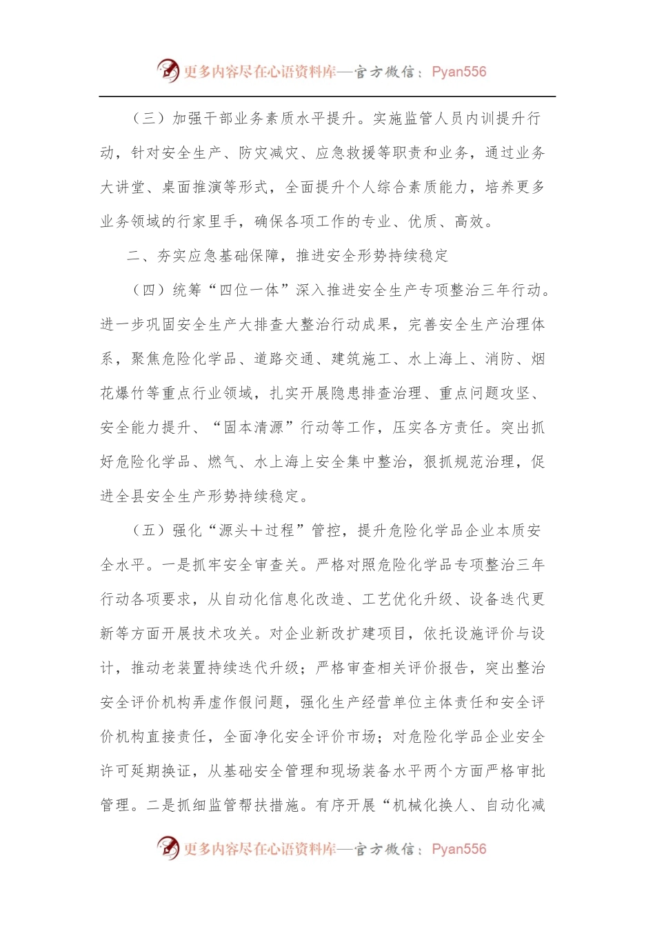 2022年XX县应急管理局工作要点.docx_第2页