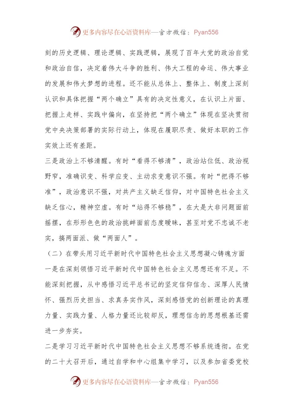 2022年度民主生活会个人对照检查材料（市常委班子成员）.docx_第2页