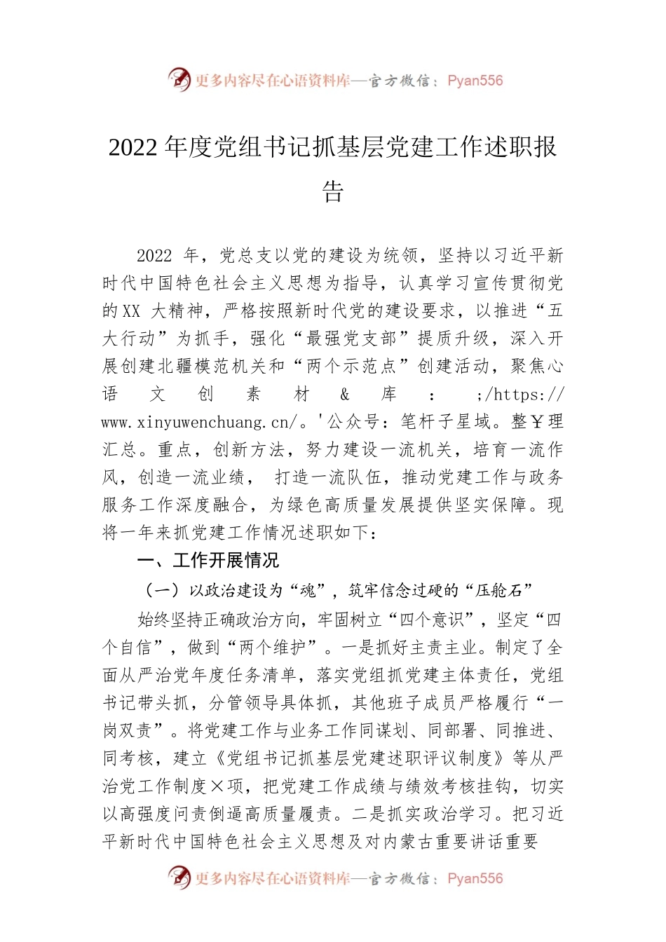 2022年度党组书记抓基层党建工作述职报告.docx_第1页