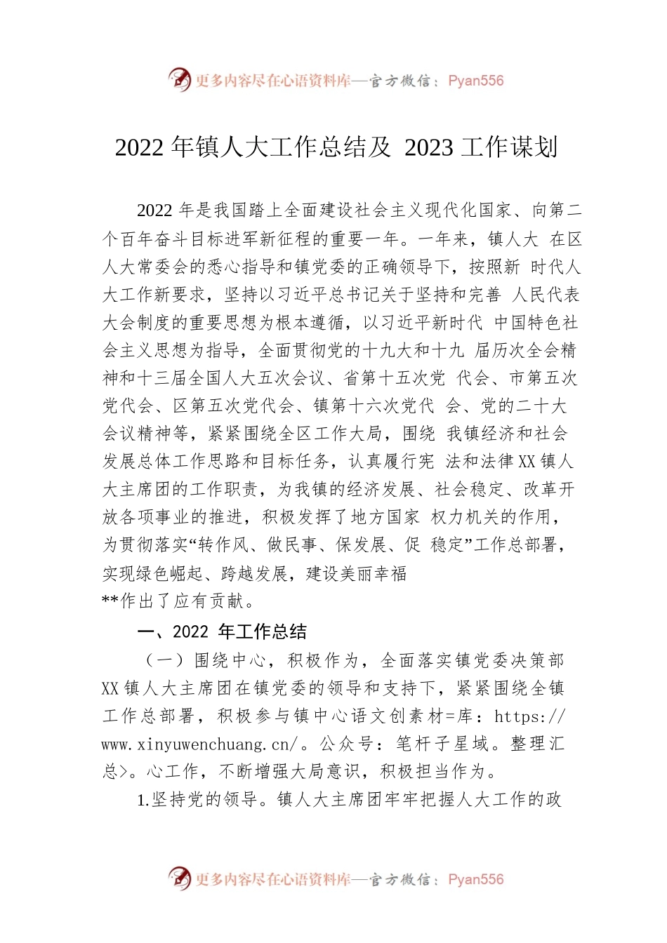 2022年镇人大工作总结及2023工作谋划.docx_第1页