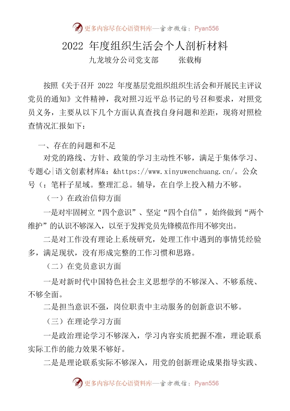 2022年度组织生活会个人剖析材料（分公司党支部）.docx_第1页