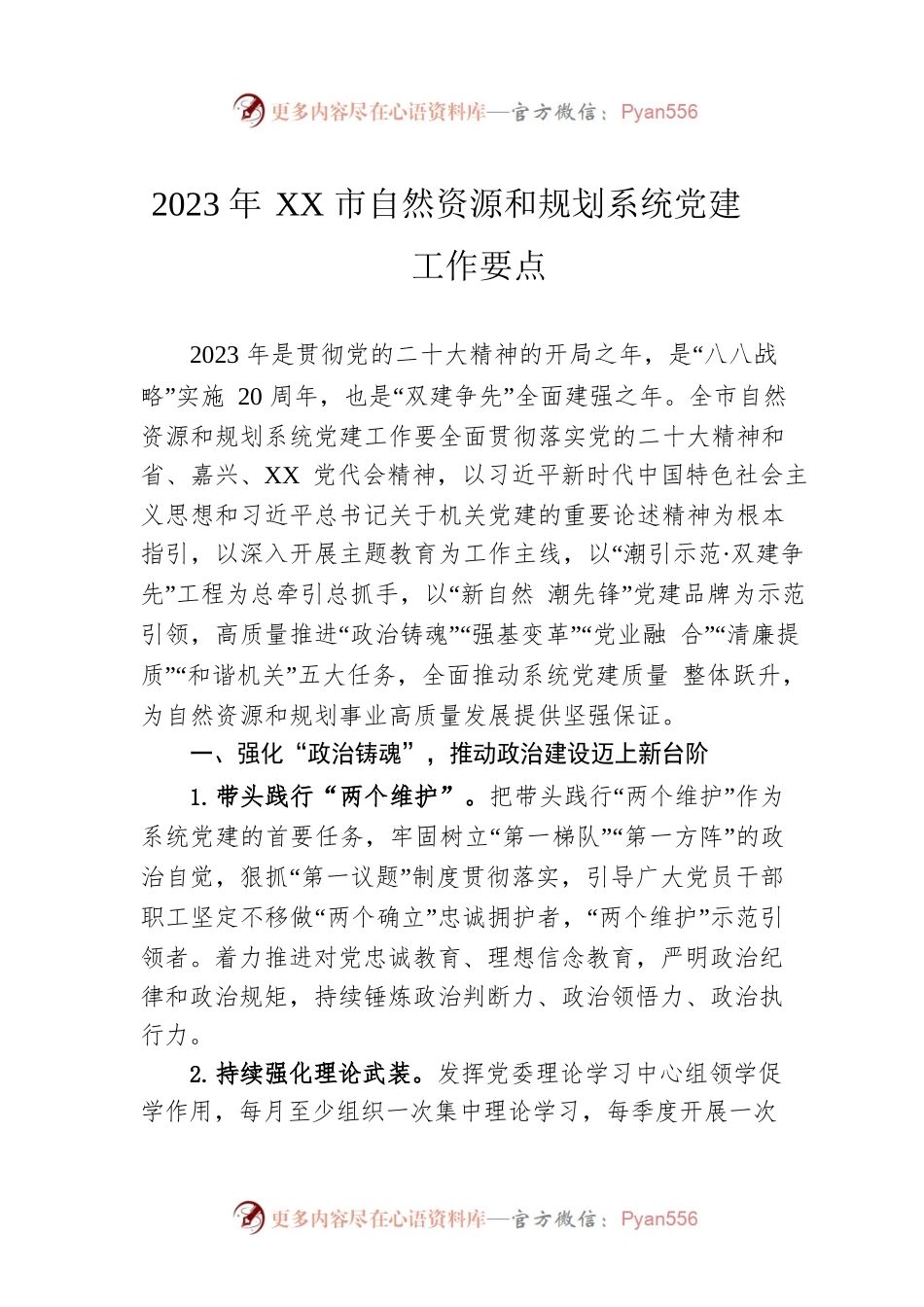 2023年XX市自然资源和规划系统党建工作要点.docx_第1页