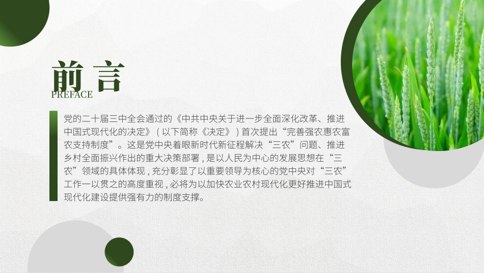 二十届三中全会关于完善强农惠农富农支持制度26.pptx_第2页