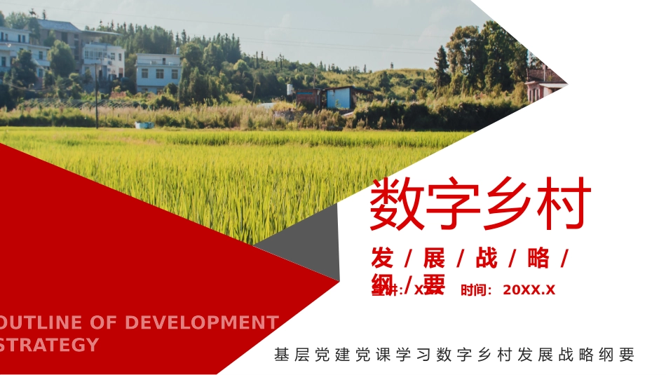 基层党建党课学习数字乡村发展战略纲要PPT.pptx_第1页