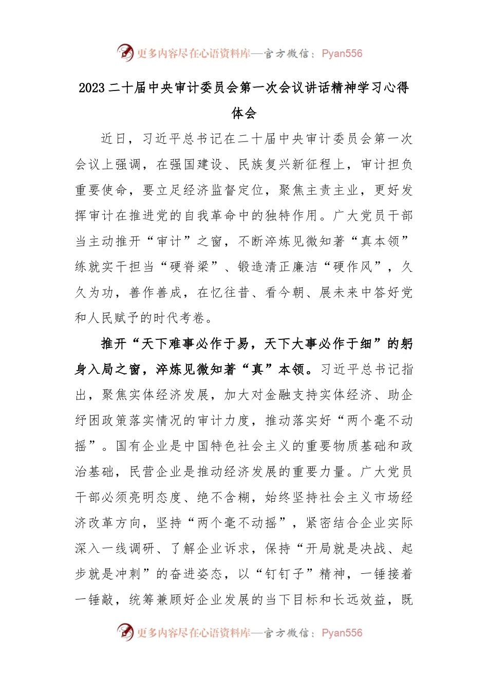 2023二十届中央审计委员会第一次会议讲话精神学习心得体会.docx_第1页