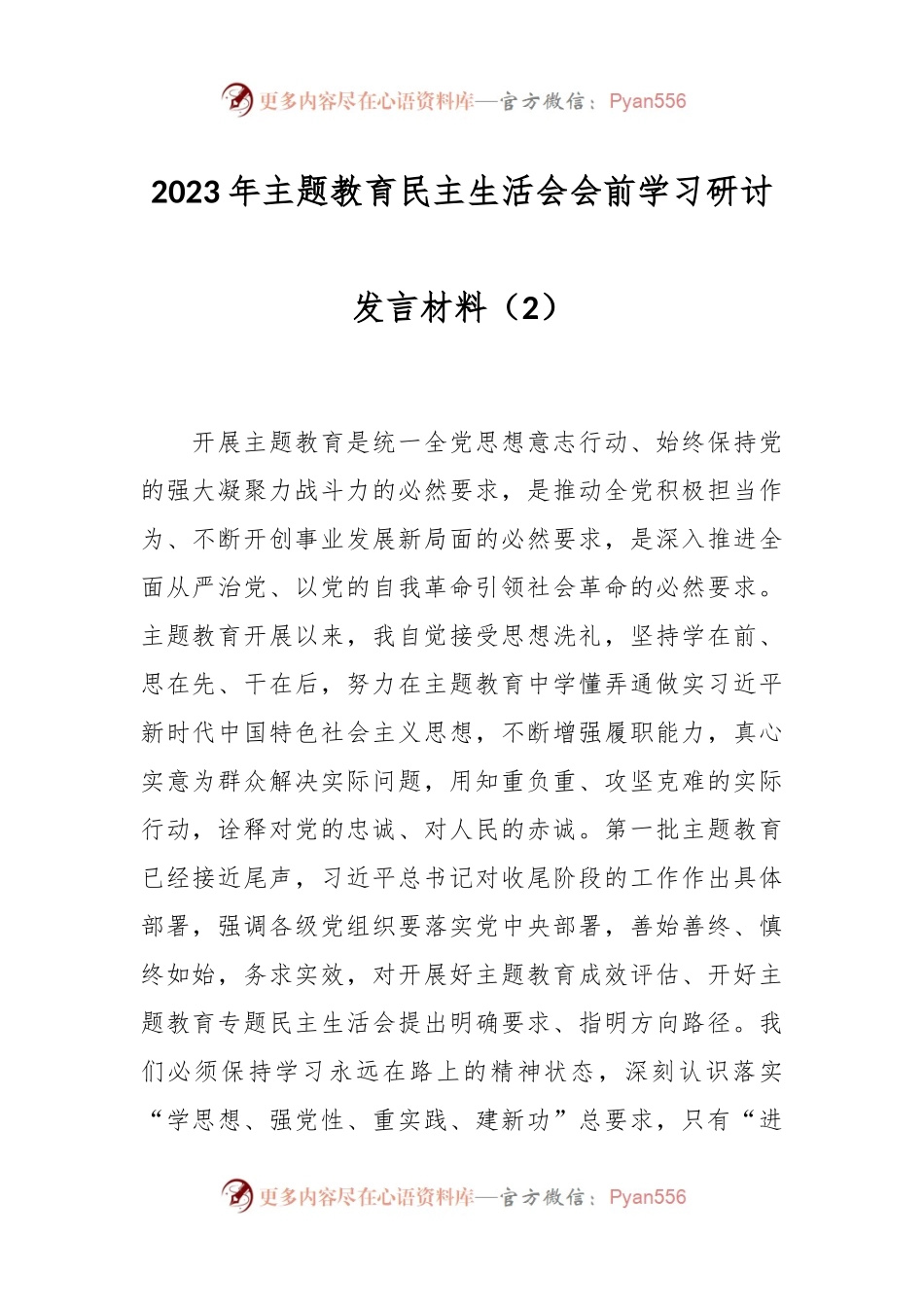 2023年主题教育民主生活会会前学习研讨发言稿材料（2）.docx_第1页