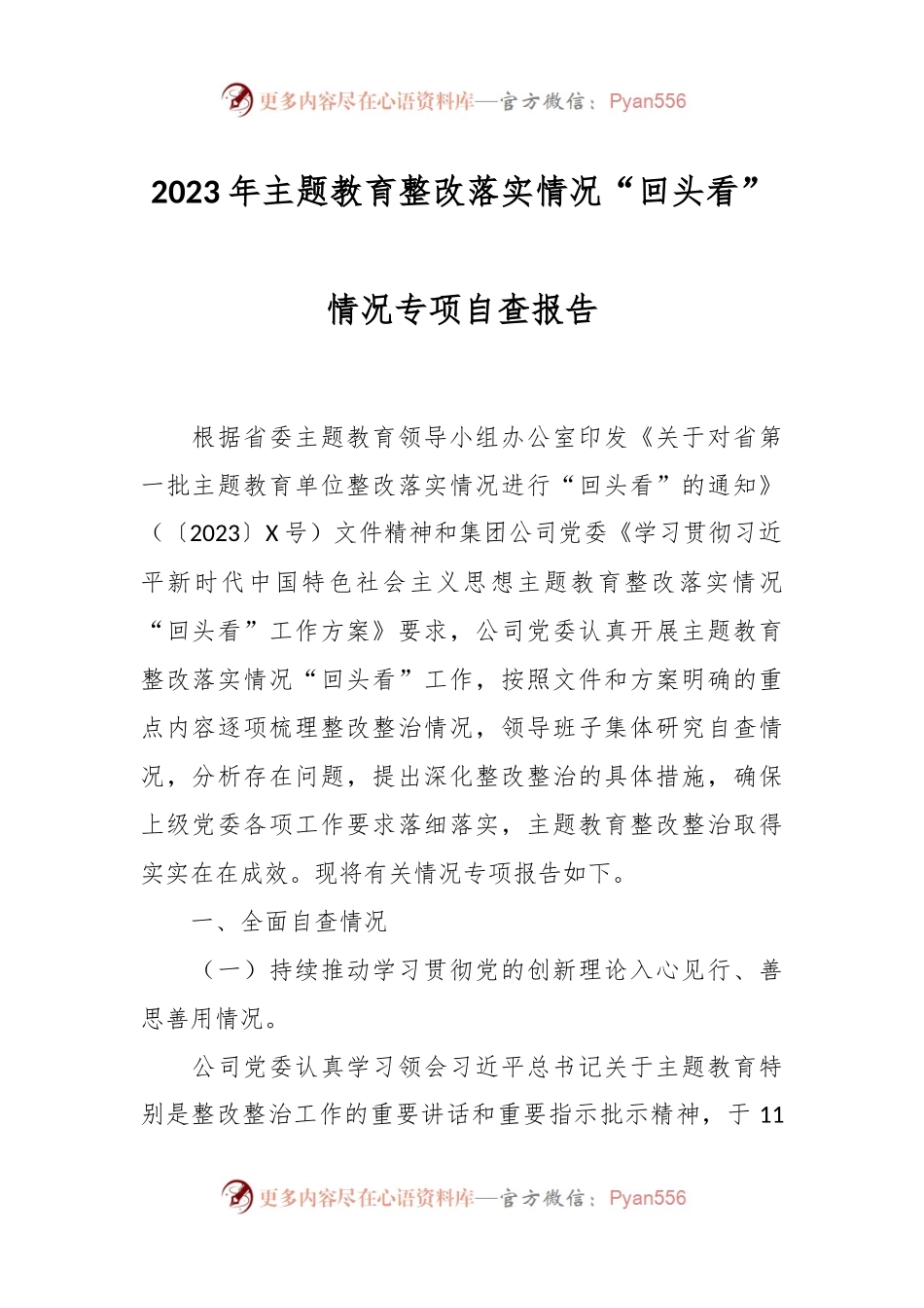 2023年主题教育整改落实情况“回头看”情况专项自查报告.docx_第1页