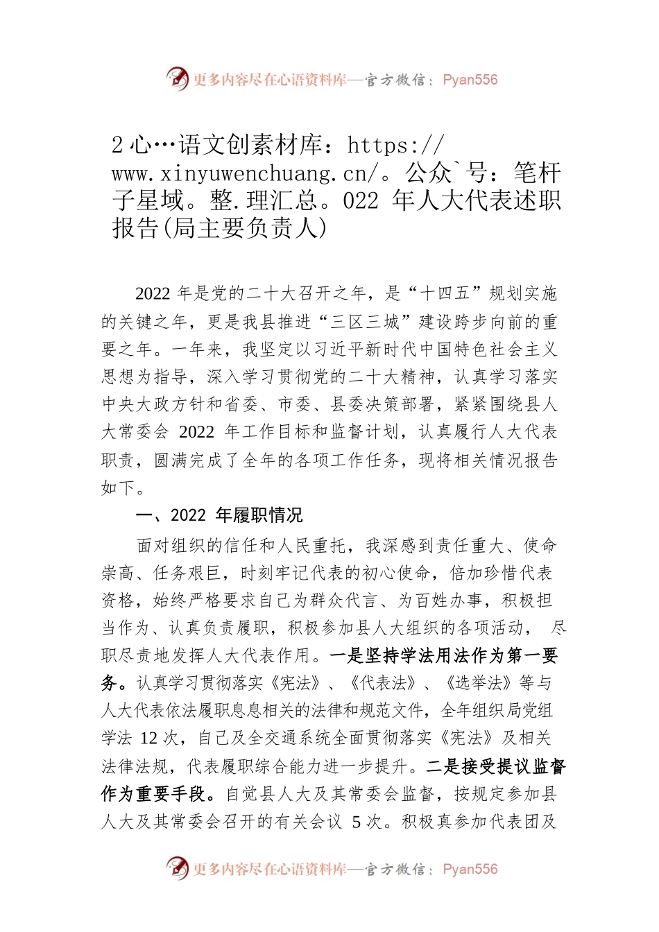 2022年人大代表述职报告(局主要负责人).docx_第1页