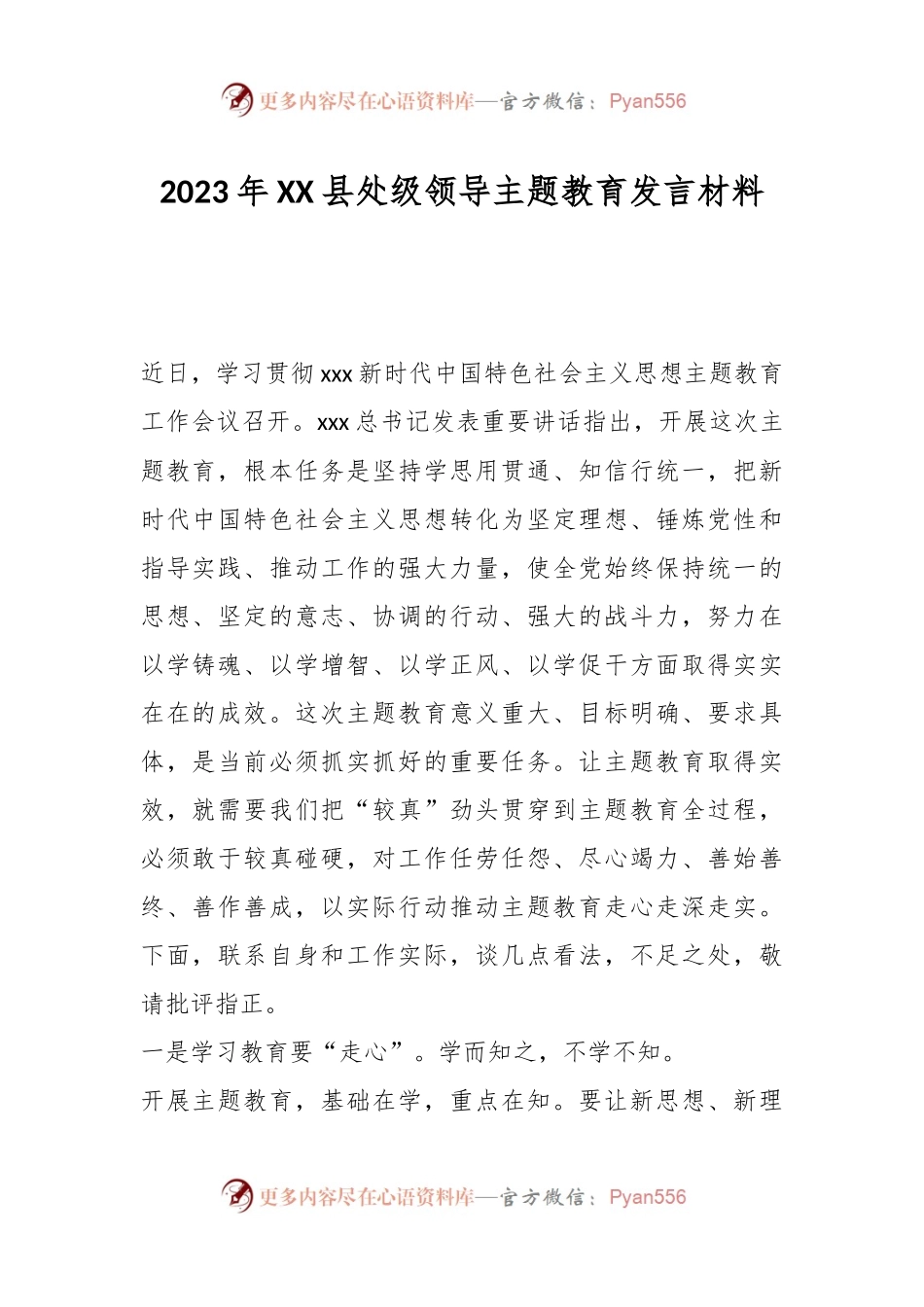 2023年XX县处级领导主题教育发言材料.docx_第1页