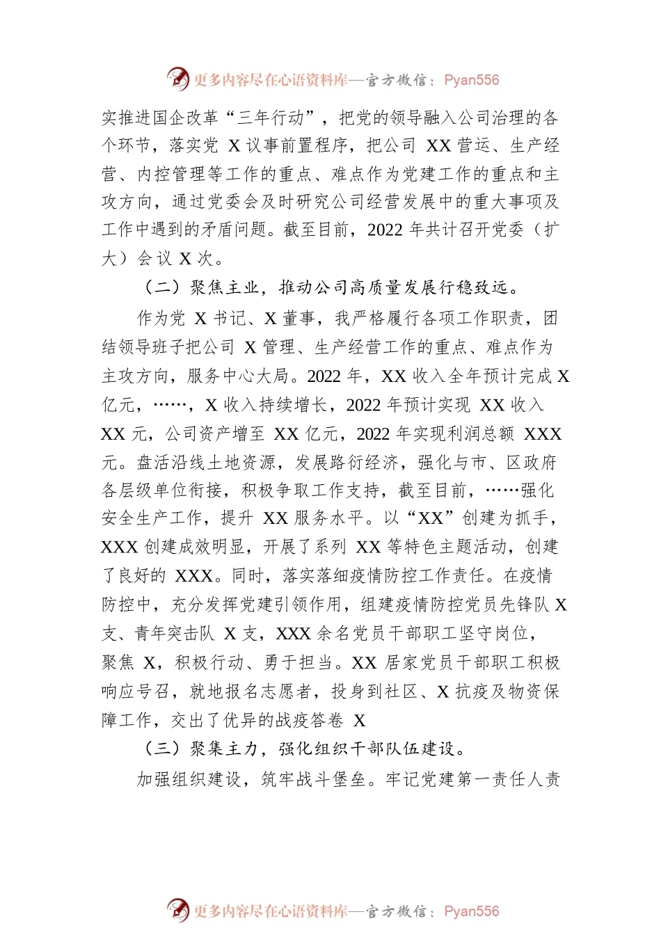 2022年度公司党组织书记、董事述德述职述廉总结.docx_第2页