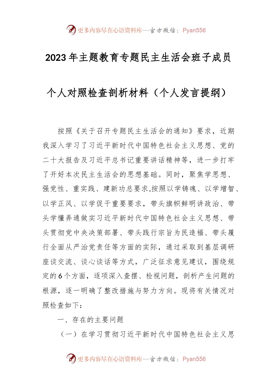 2023年主题教育专题民主生活会班子成员个人对照检查剖析材料（个人发言稿提纲）.docx_第1页