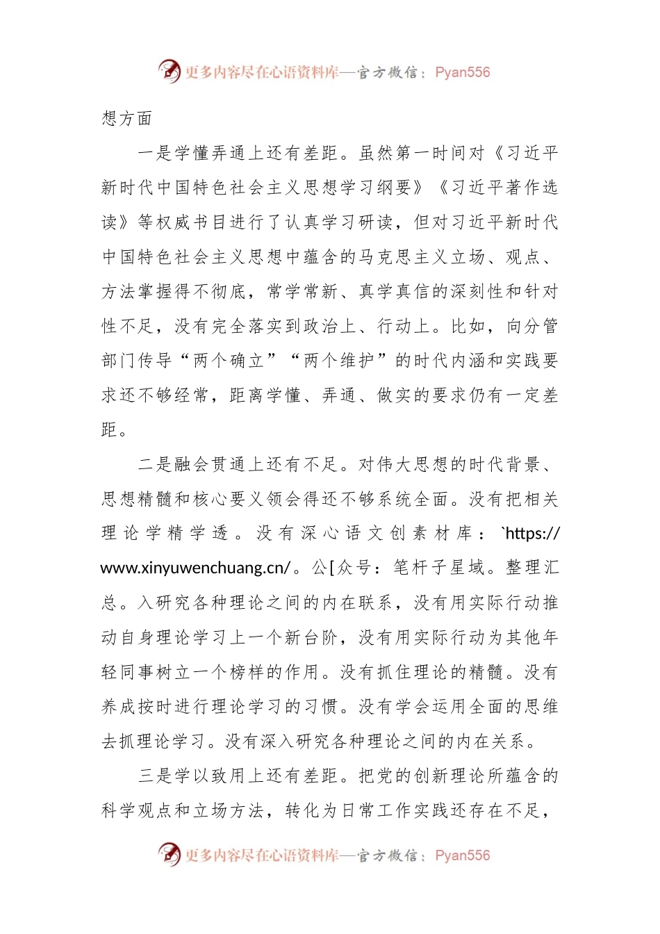 2023年主题教育专题民主生活会班子成员个人对照检查剖析材料（个人发言稿提纲）.docx_第2页