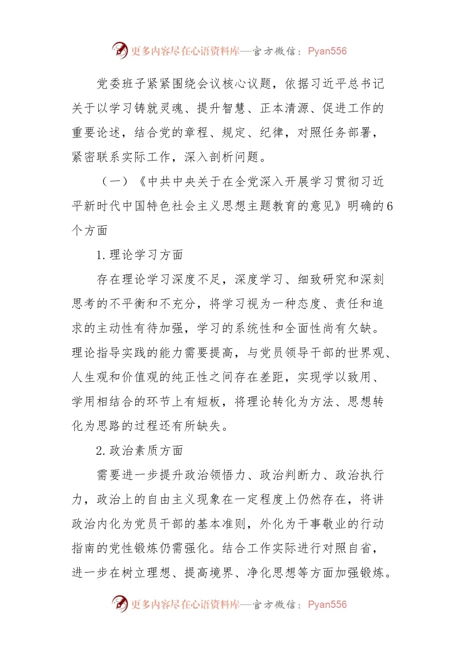 2023年主题教育民主生活会班子对照检查材料范文.docx_第2页