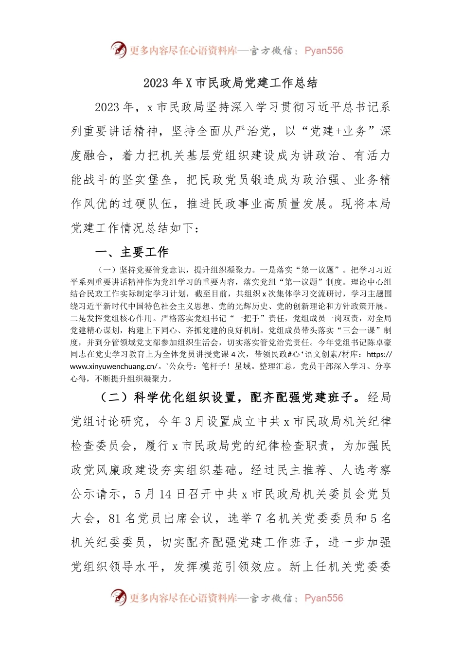 2023年X市民政局党建工作总结.docx_第1页