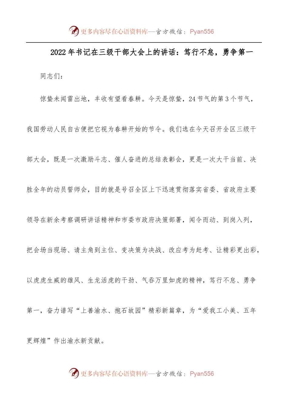 2022年书记在三级干部大会上的讲话：笃行不怠，勇争第一.docx_第1页