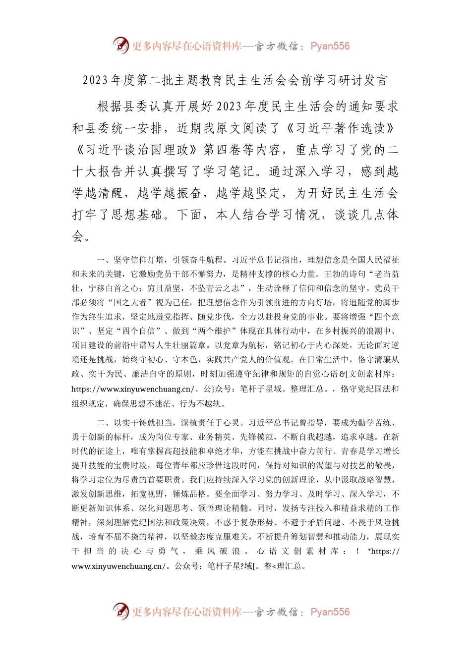 2023年主题教育民主生活会会前学习研讨发言(1).docx_第1页