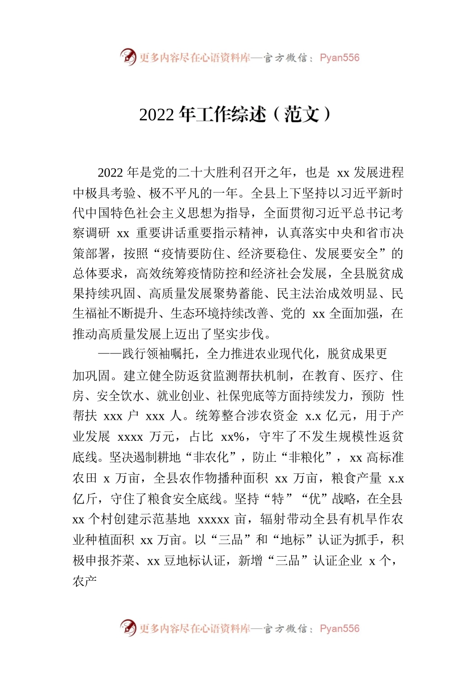 2022年工作综述（范文）.docx_第1页