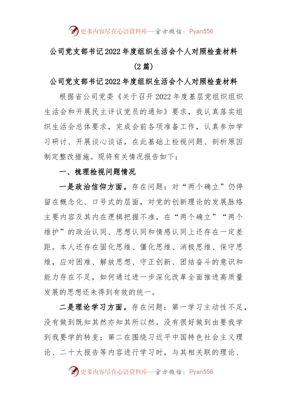 (2篇)公司党支部书记2022年度组织生活会个人对照检查材料.docx_第1页