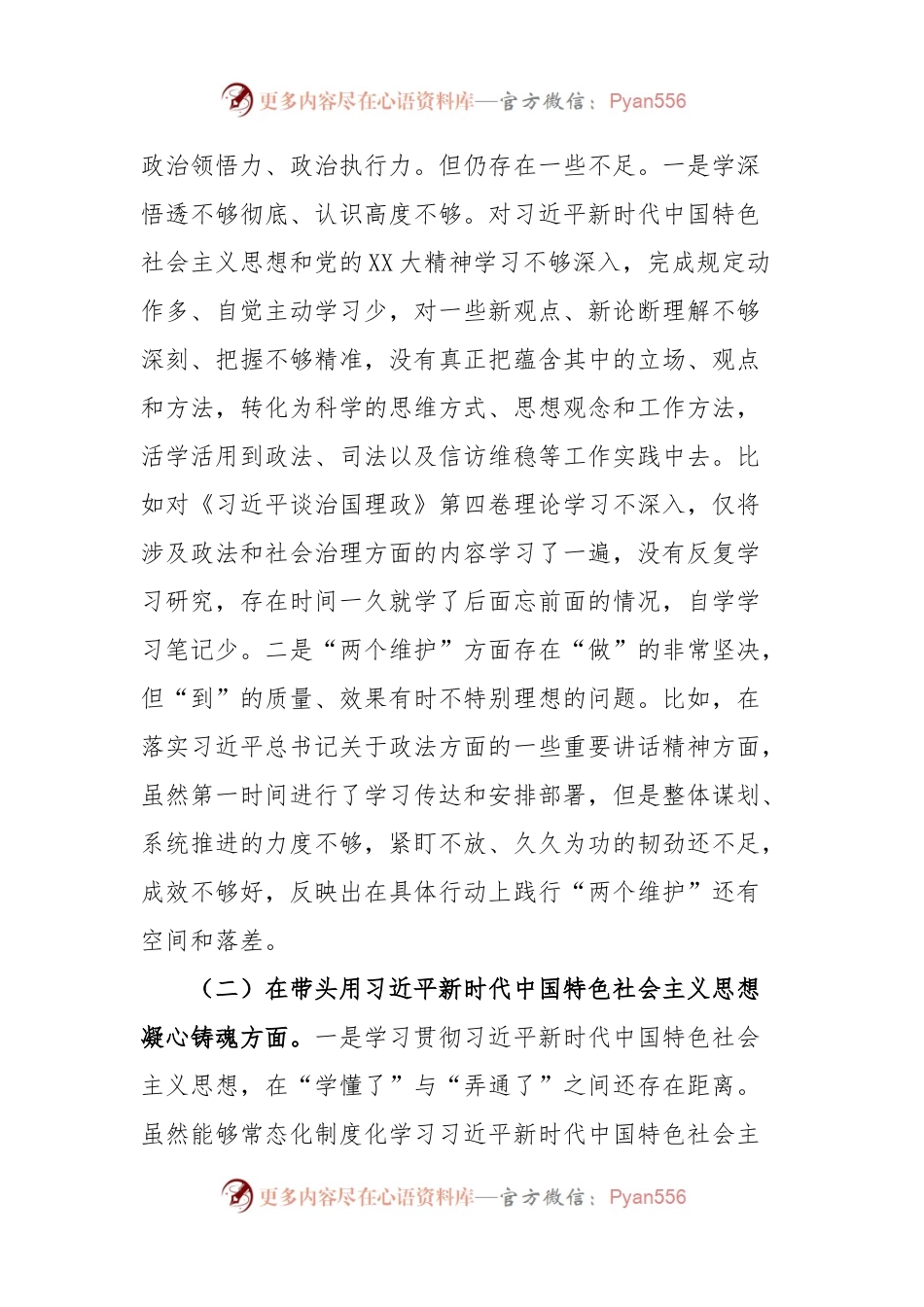 (13篇)上年度民主生活会个人发言提纲.docx_第2页