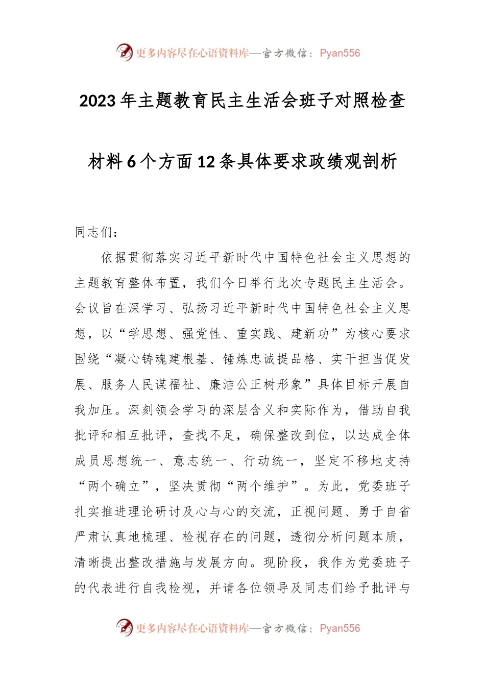 2023年主题教育民主生活会班子对照检查材料6个方面 12条具体要求 政绩观剖析.docx_第1页