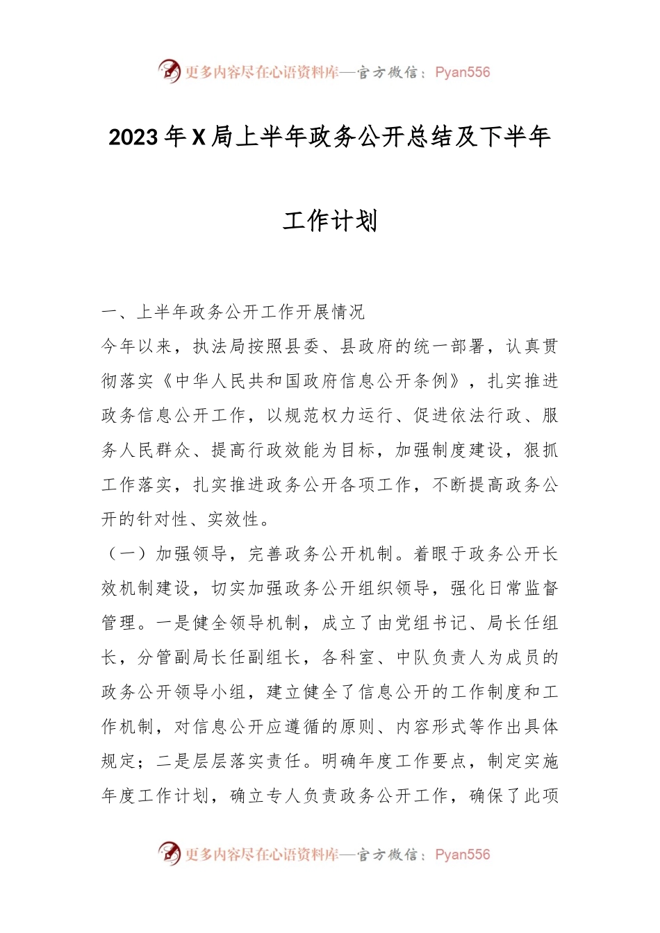 2023年X局上半年政务公开总结及下半年工作计划.docx_第1页