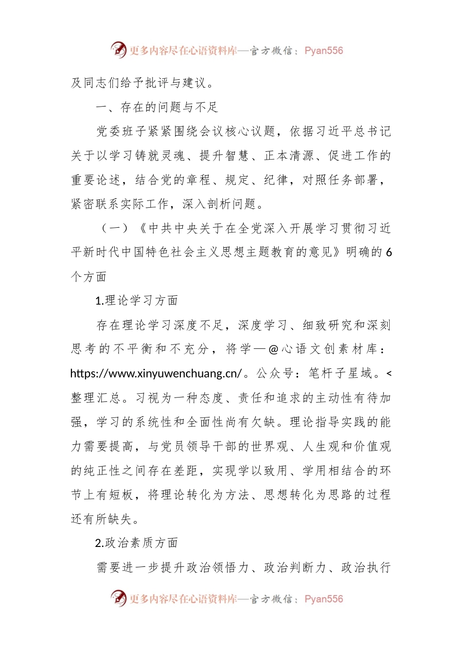 2023年主题教育民主生活会班子对照检查材料范文（4）.docx_第2页