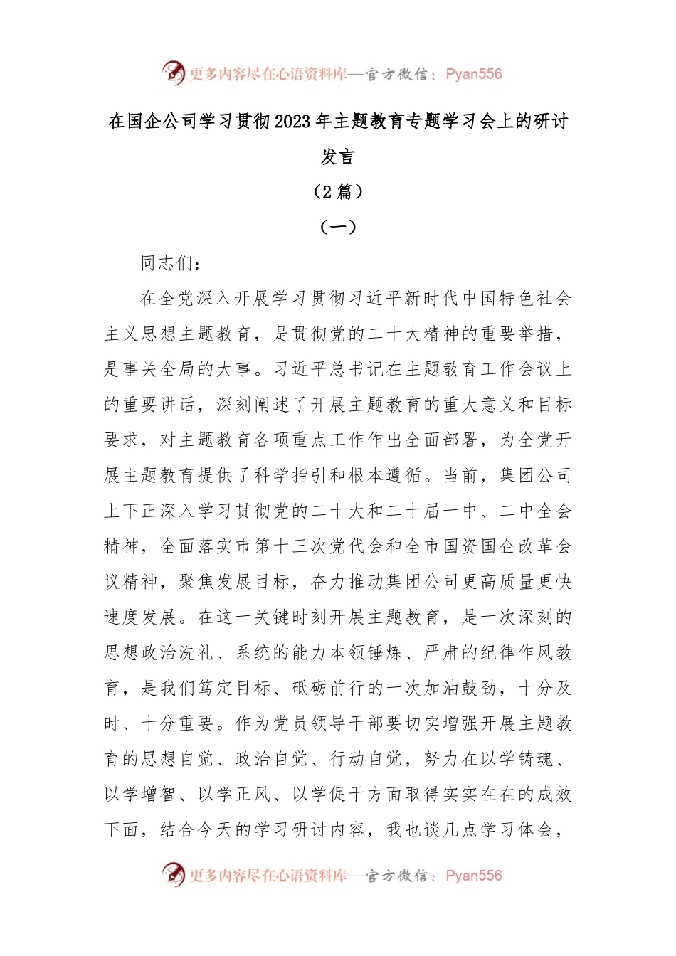(2篇)在国企公司学习贯彻2023年主题教育专题学习会上的研讨发言.docx_第1页