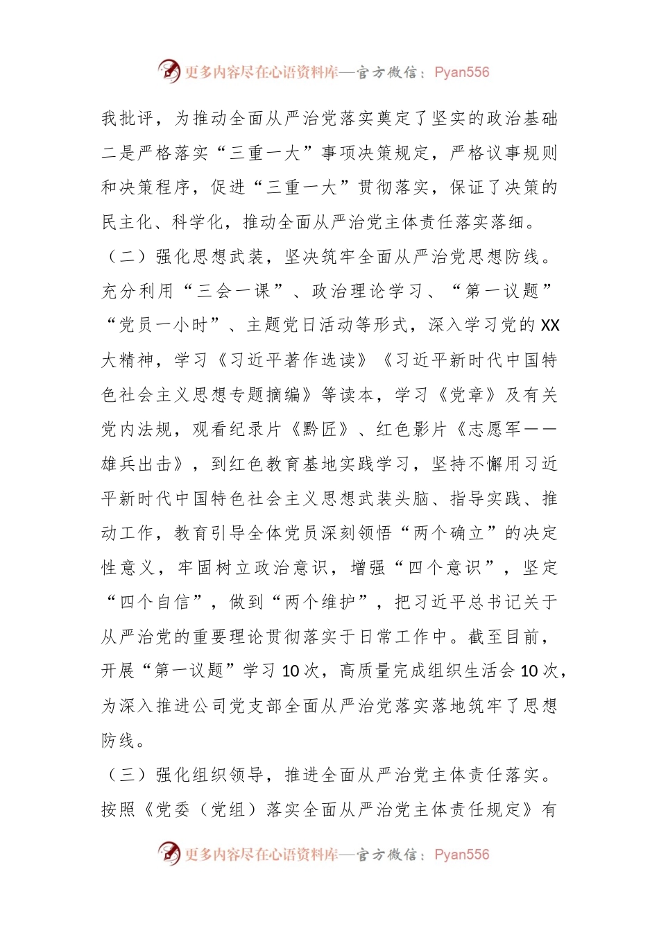 2023年公司党支部全面从严治党工作报告.docx_第2页