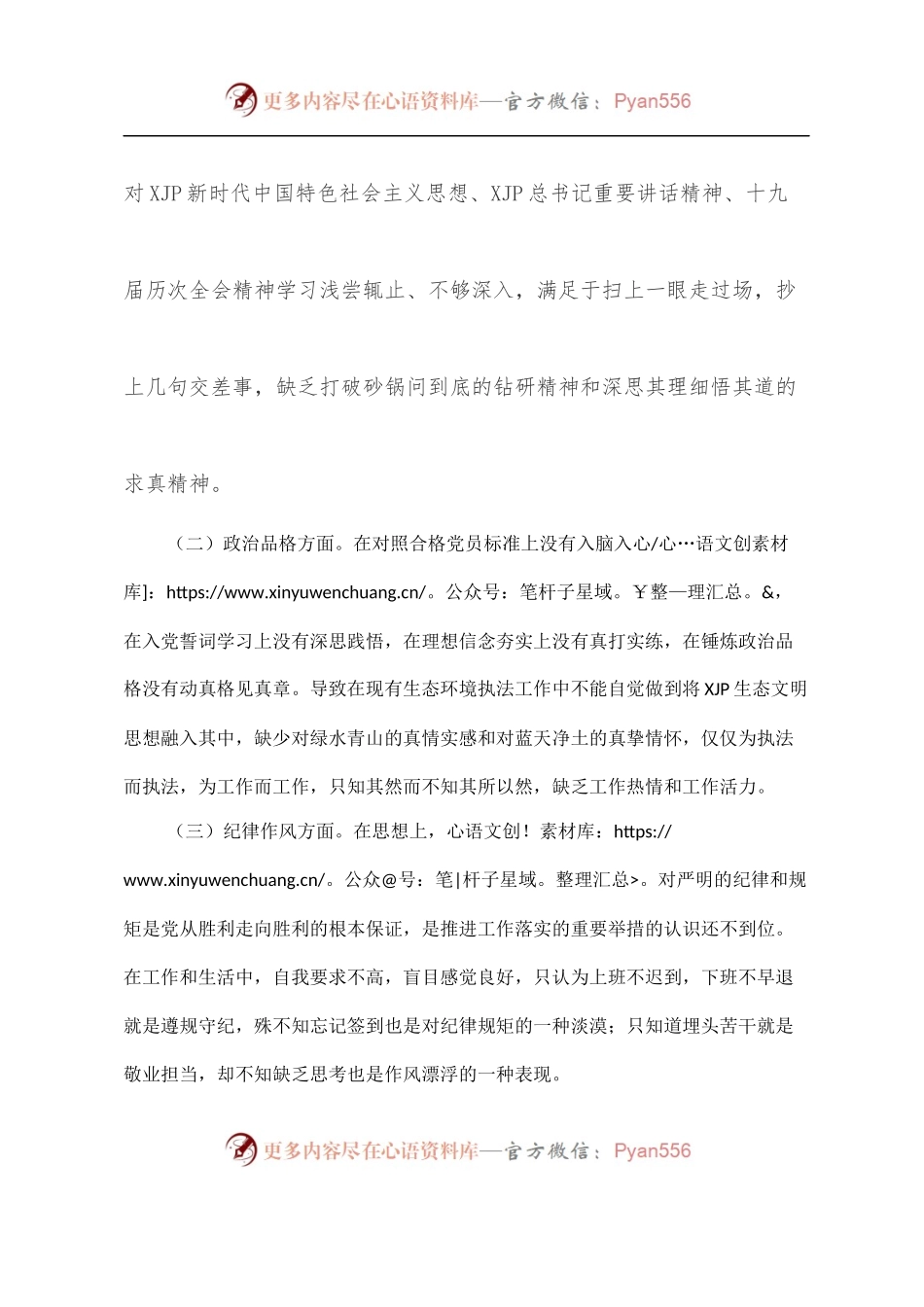 2022年执法队伍作风能力建设专题组织生活会个人发言提纲.docx_第2页