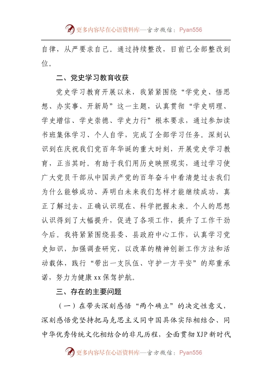103个人2021年专题民主生活会发言提纲[医院长].docx_第2页