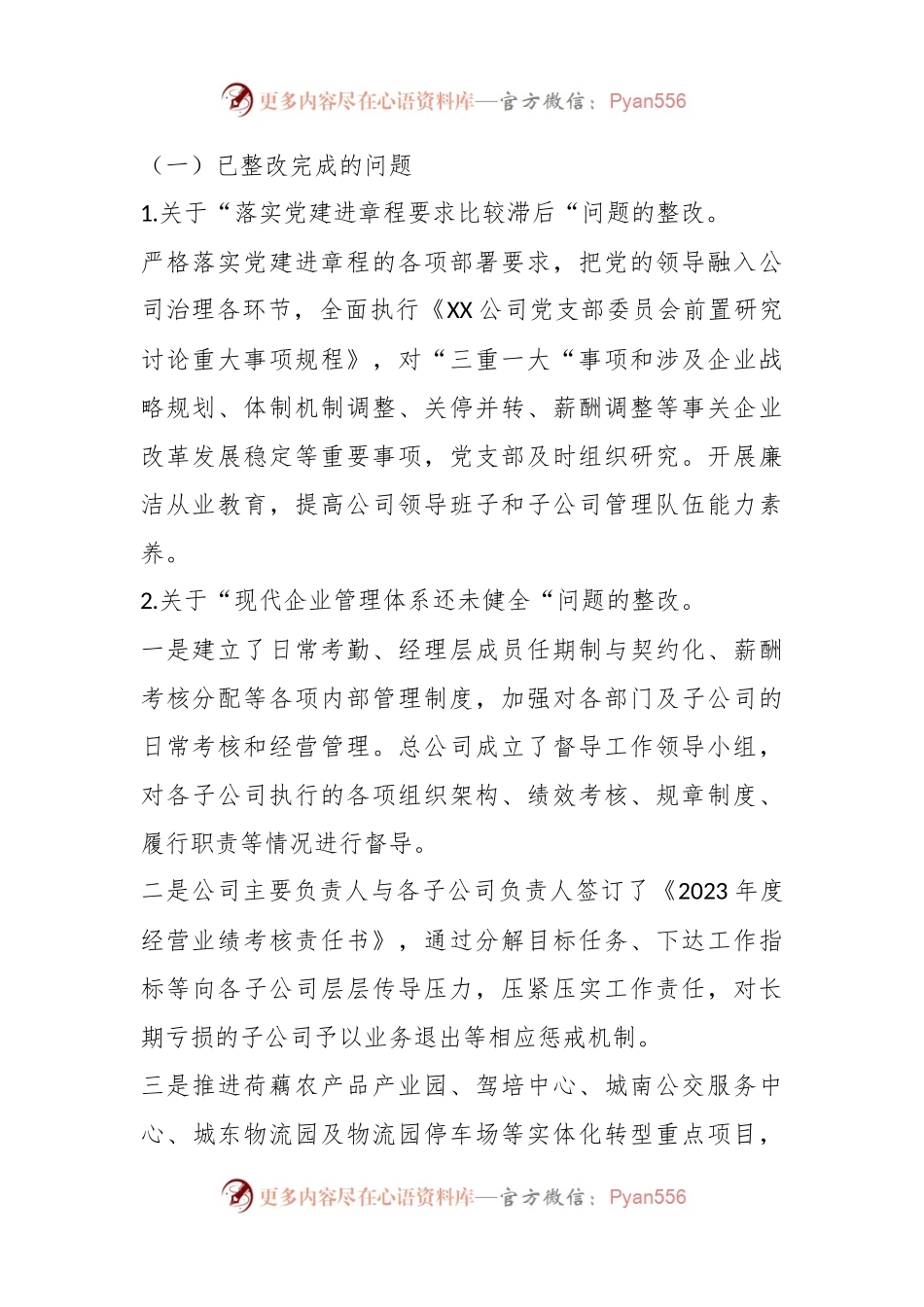 2022——2023年某市XX公司关于巡察整改情况的报告.docx_第2页