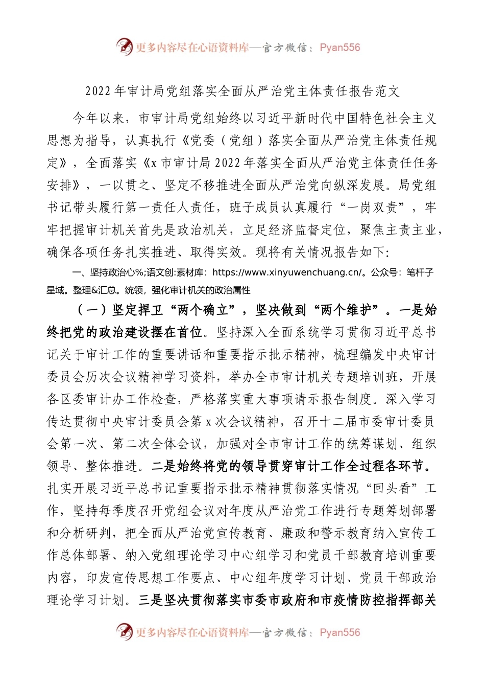 2022年审计局党组落实全面从严治党主体责任报告.docx_第1页