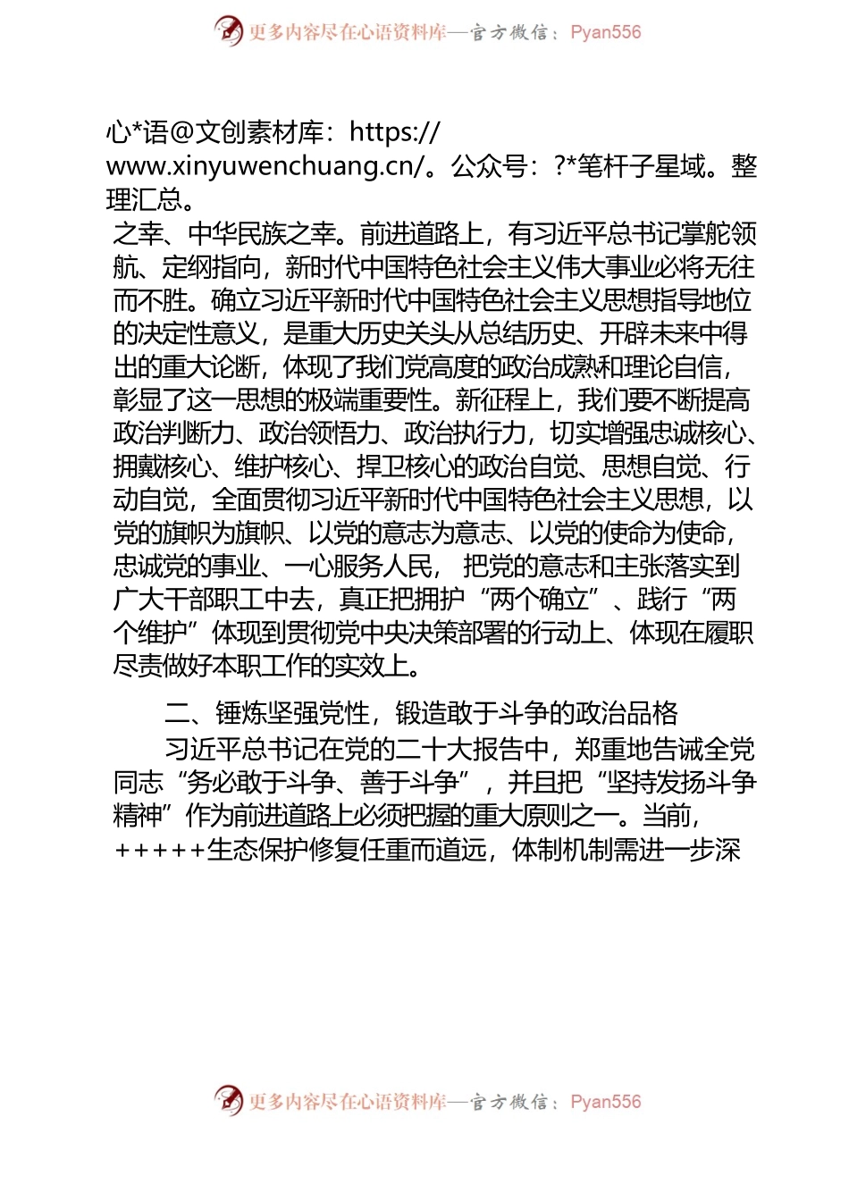 20230528-同志党性大讨论发言提纲.docx_第2页