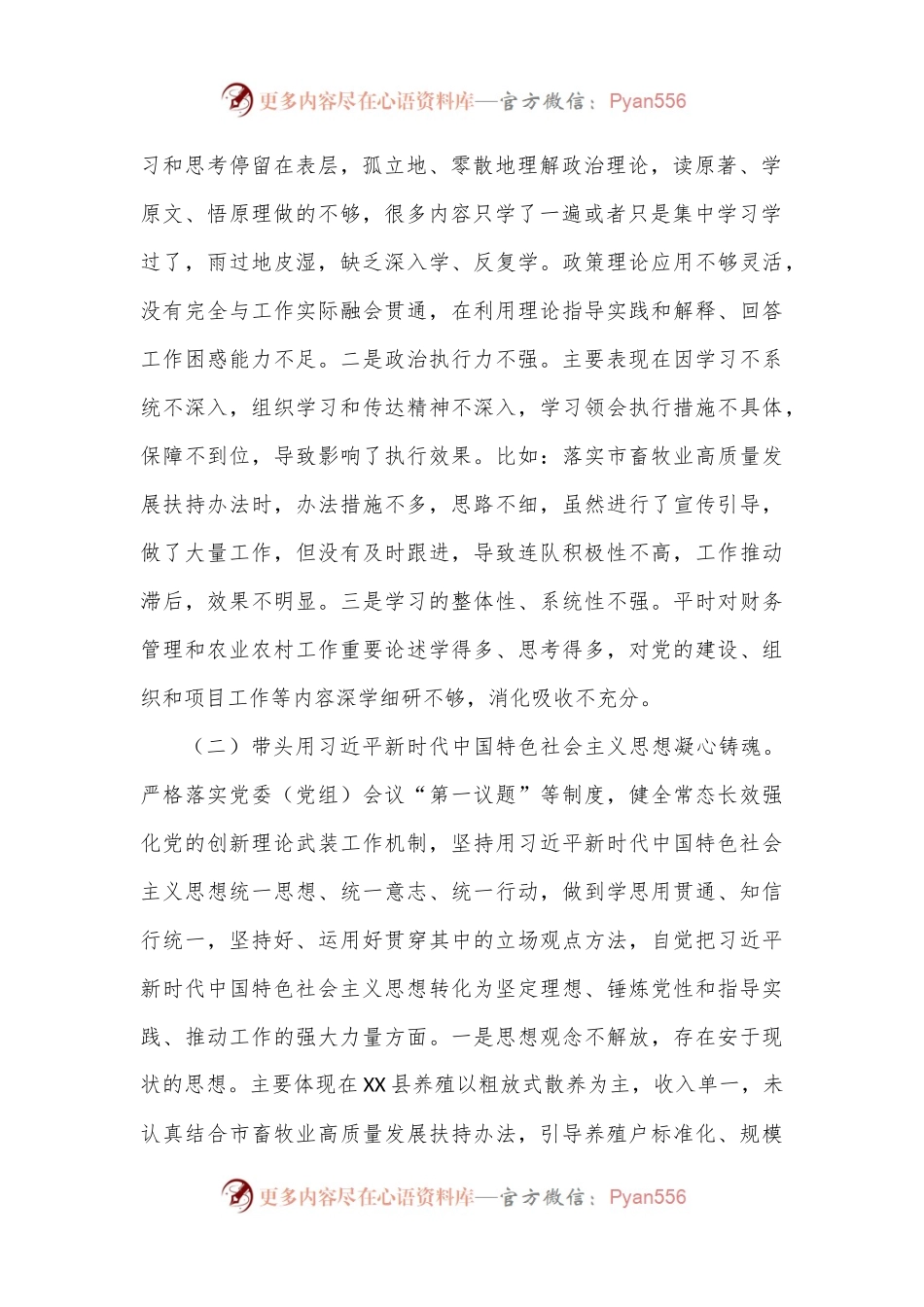 2022年度XX县常委、副县长民主生活会个人对照发言材料.docx_第2页