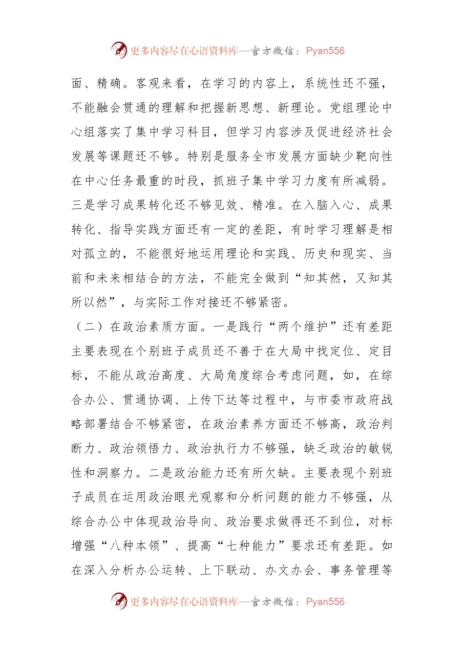 2023年在市政府办公室党组主题教育民主生活会领导班子对照检查材料.docx_第2页