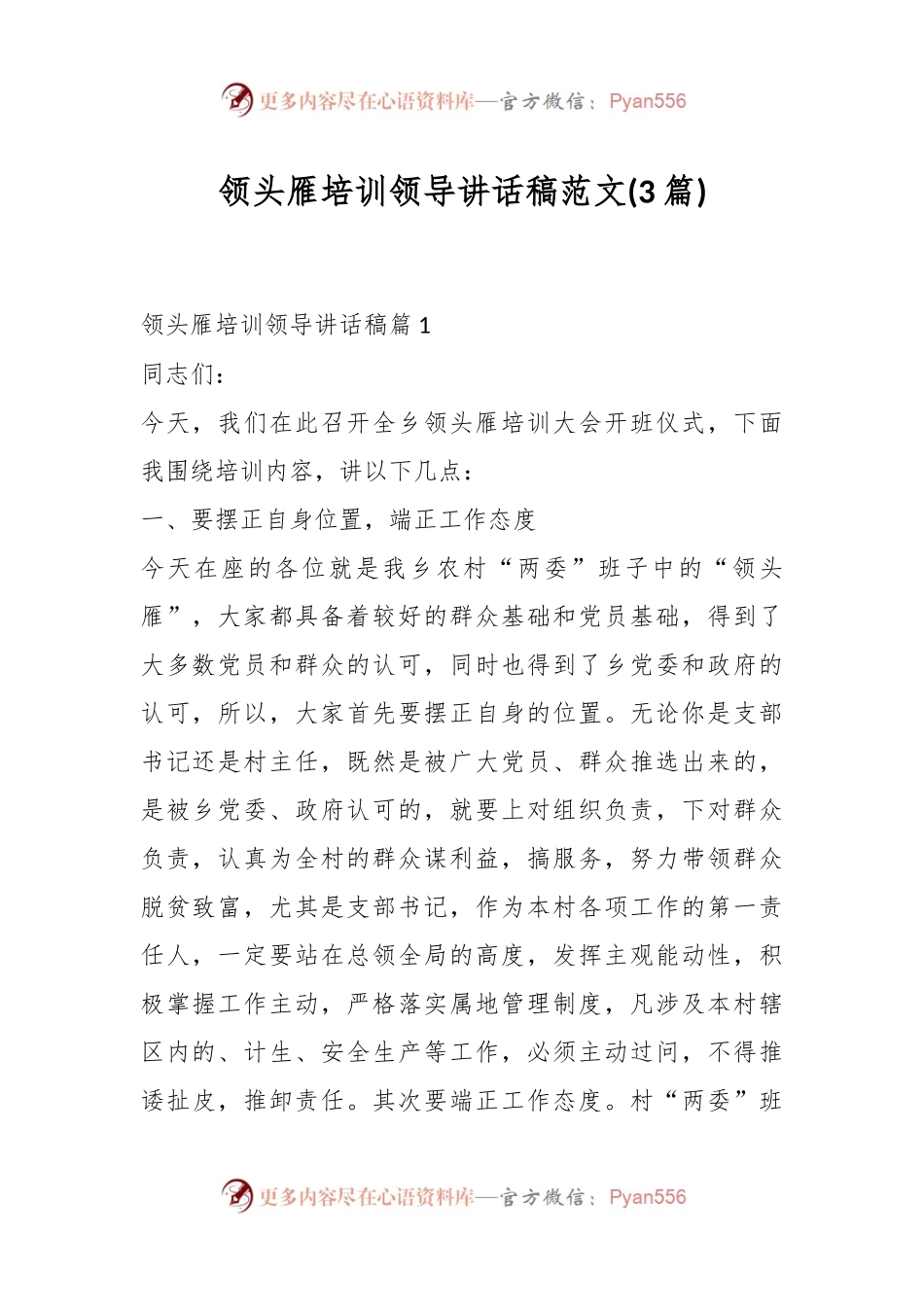 (3篇)领头雁培训领导讲话稿稿范文.docx_第1页