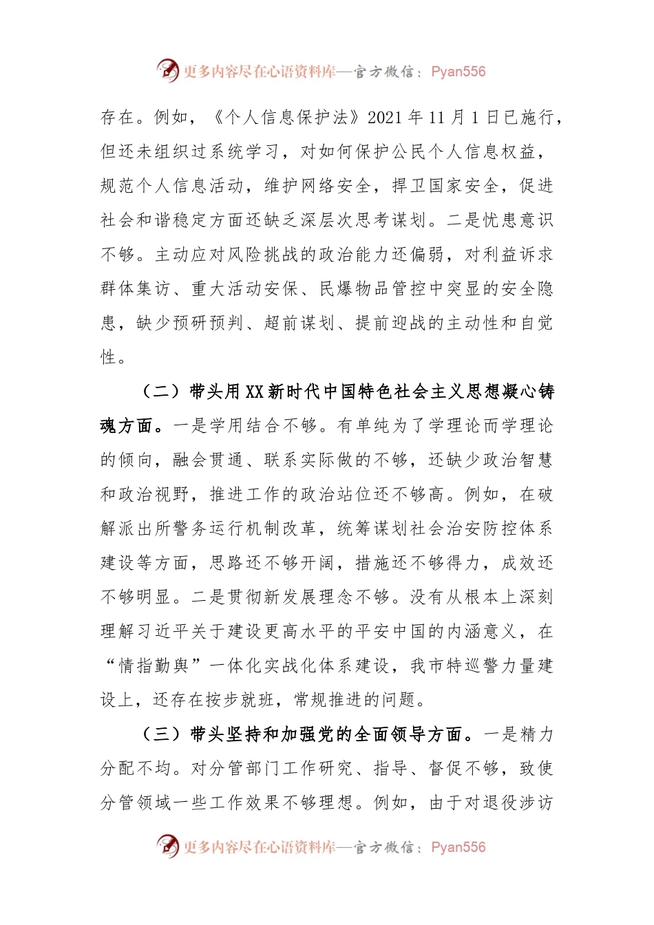 2022年XX市公安局党委班子成员民主生活会对照检查材料.docx_第2页