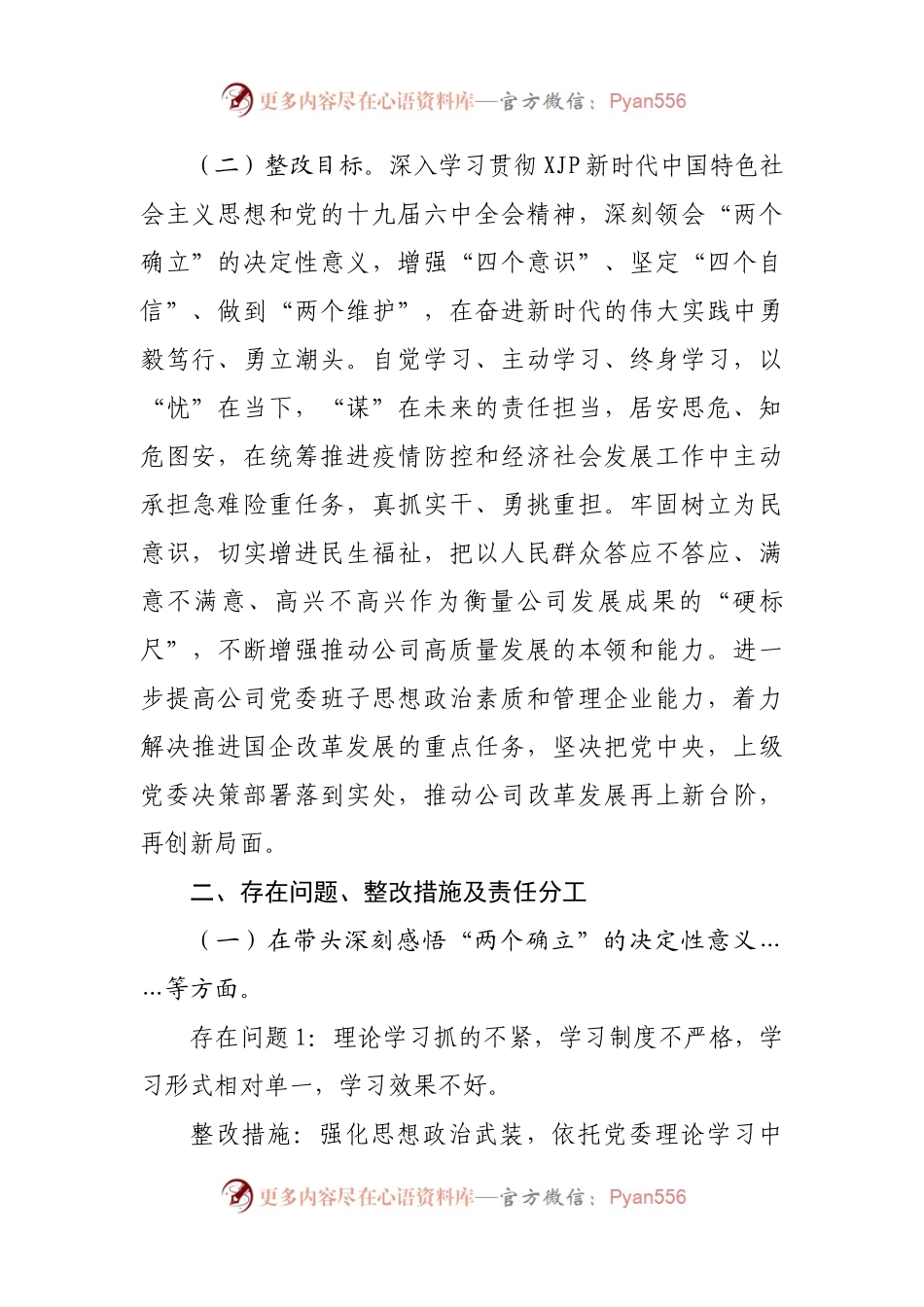 164整改方案2021年专题民主生活会整改方案（公司）.docx_第2页