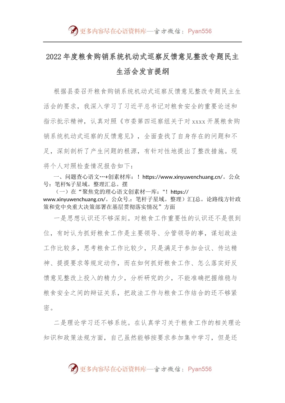 2022年度粮食购销系统机动式巡察反馈意见整改专题民主生活会发言提纲.docx_第1页