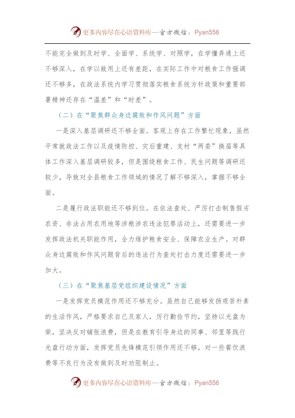 2022年度粮食购销系统机动式巡察反馈意见整改专题民主生活会发言提纲.docx_第2页