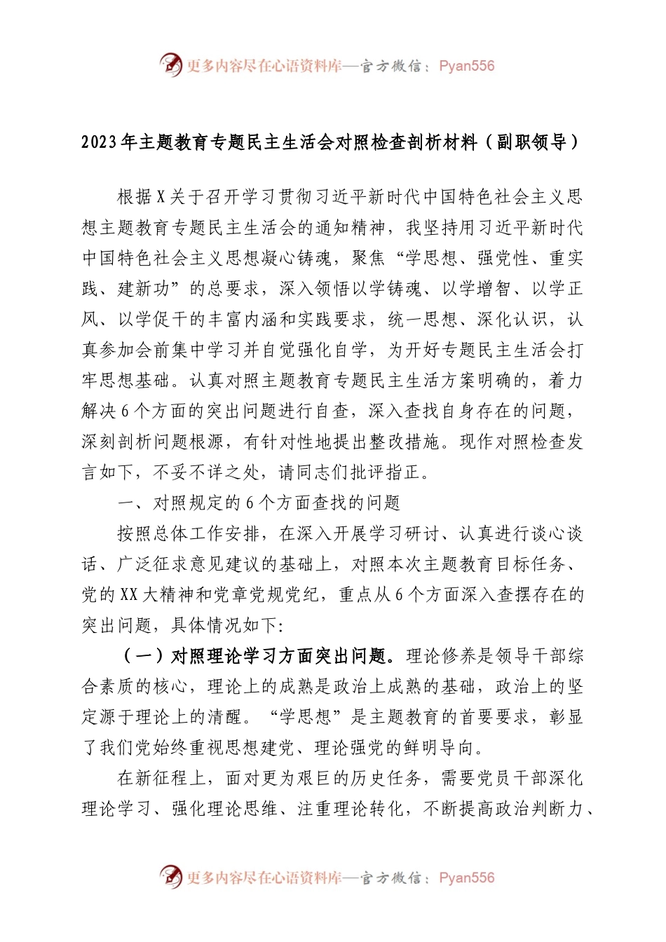 2023年主题教育专题民主生活会对照检查剖析材料（副职领导）.docx_第1页