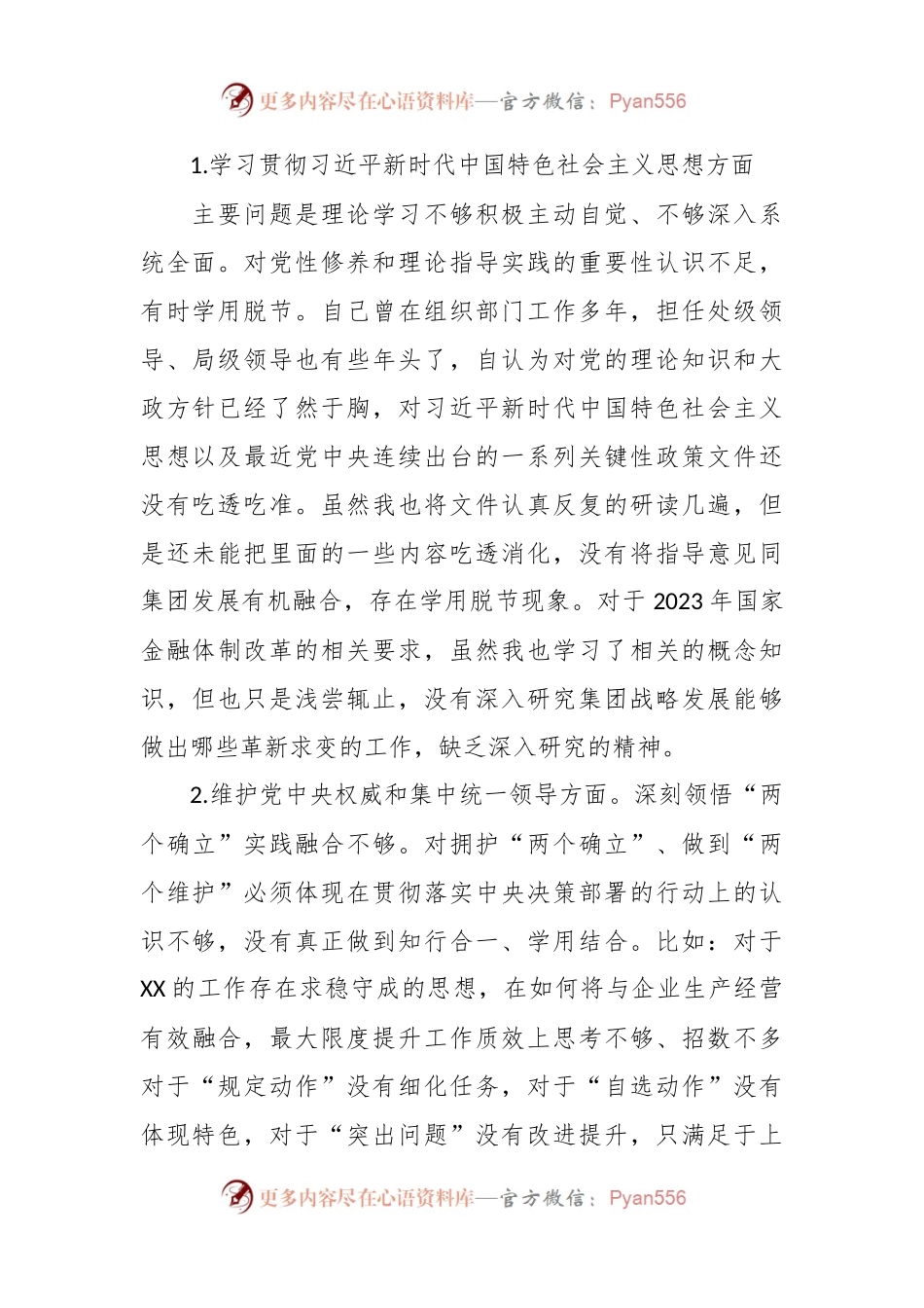 2023年主题教育专题民主生活会个人对照检查 国企总经理（践行宗旨等6个方面+案例剖析+上年度整改+个人事项）.docx_第2页