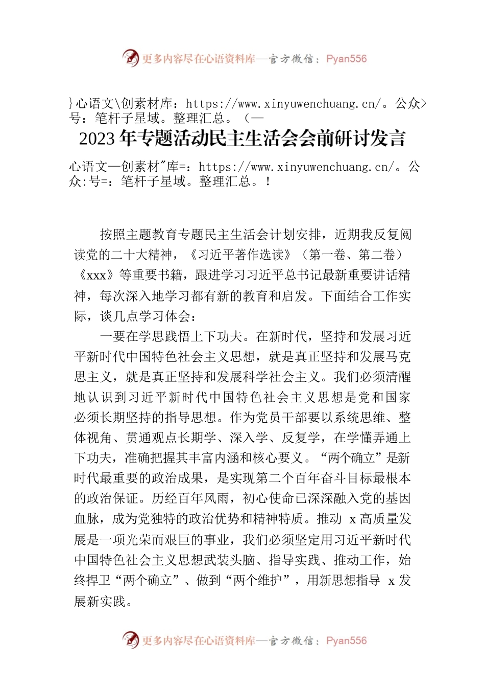 2023年专题活动民主生活会会前研讨发言材料.docx_第1页