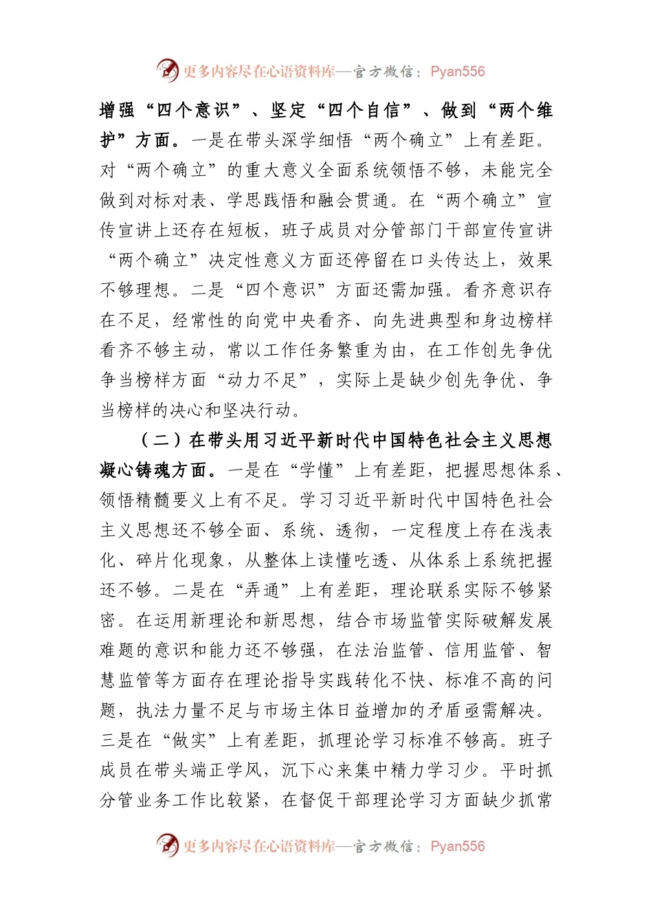 2022年度市场监管领导班子组织生活会发言提纲.docx_第2页