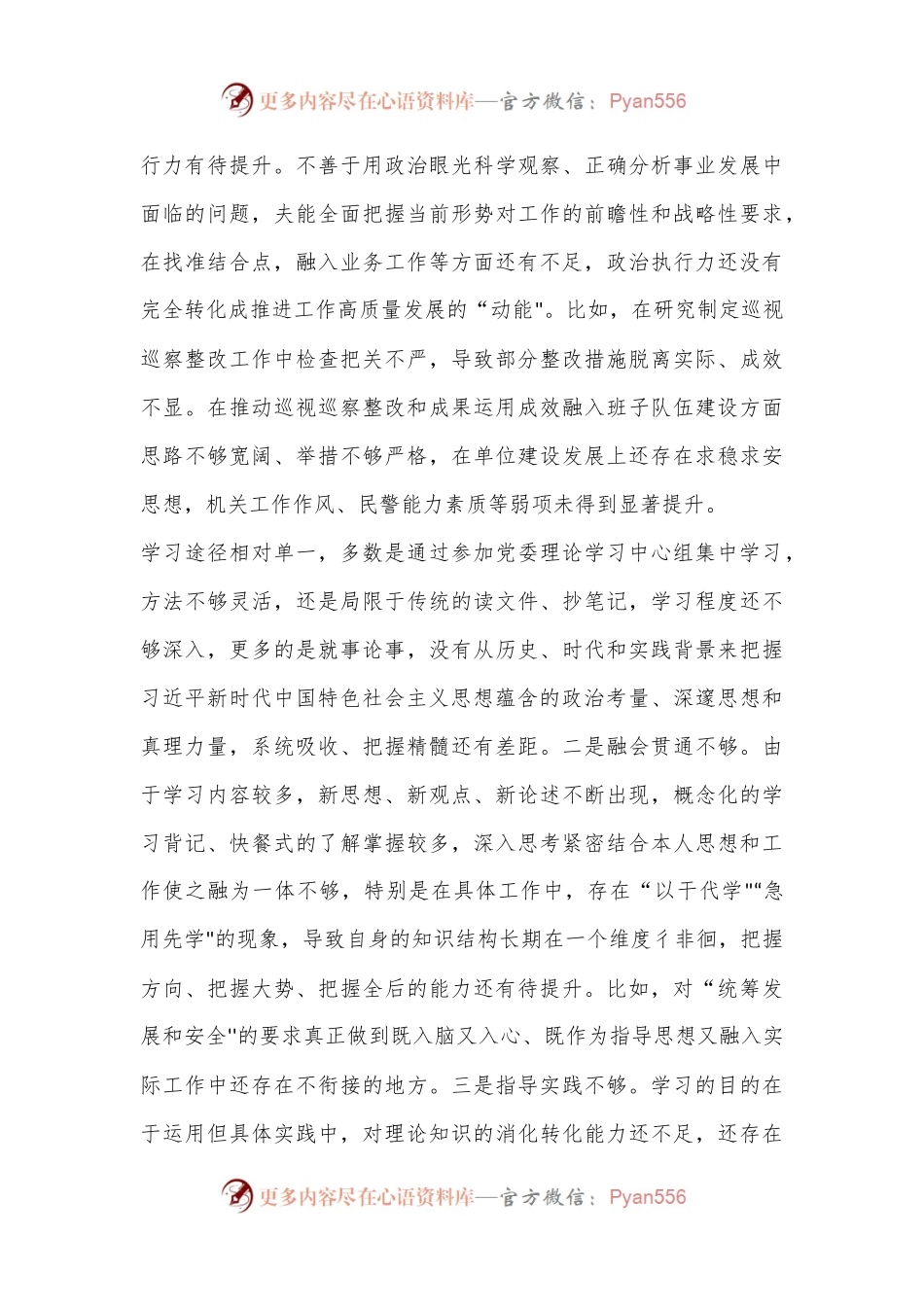 2022年度公安局局长专题民主生活会六个带头对照检查材料.docx_第2页